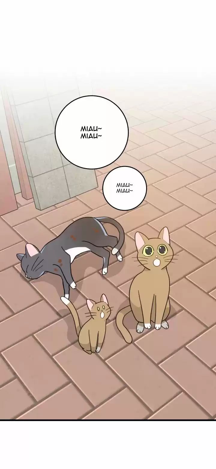 Mi único gato (2019) - Capítulo 21 - Página 21 - LectorTMOo
