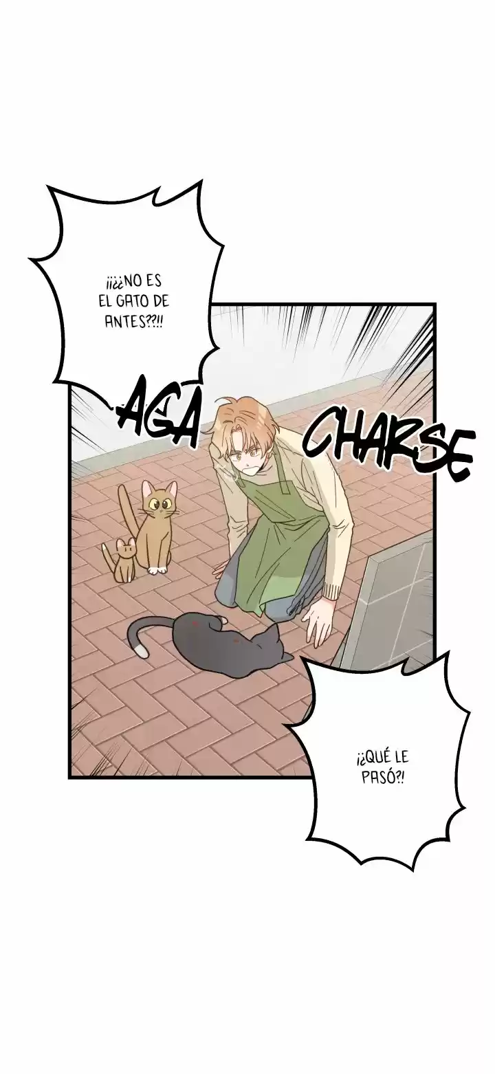 Mi único gato (2019) - Capítulo 21 - Página 23 - LectorTMOo