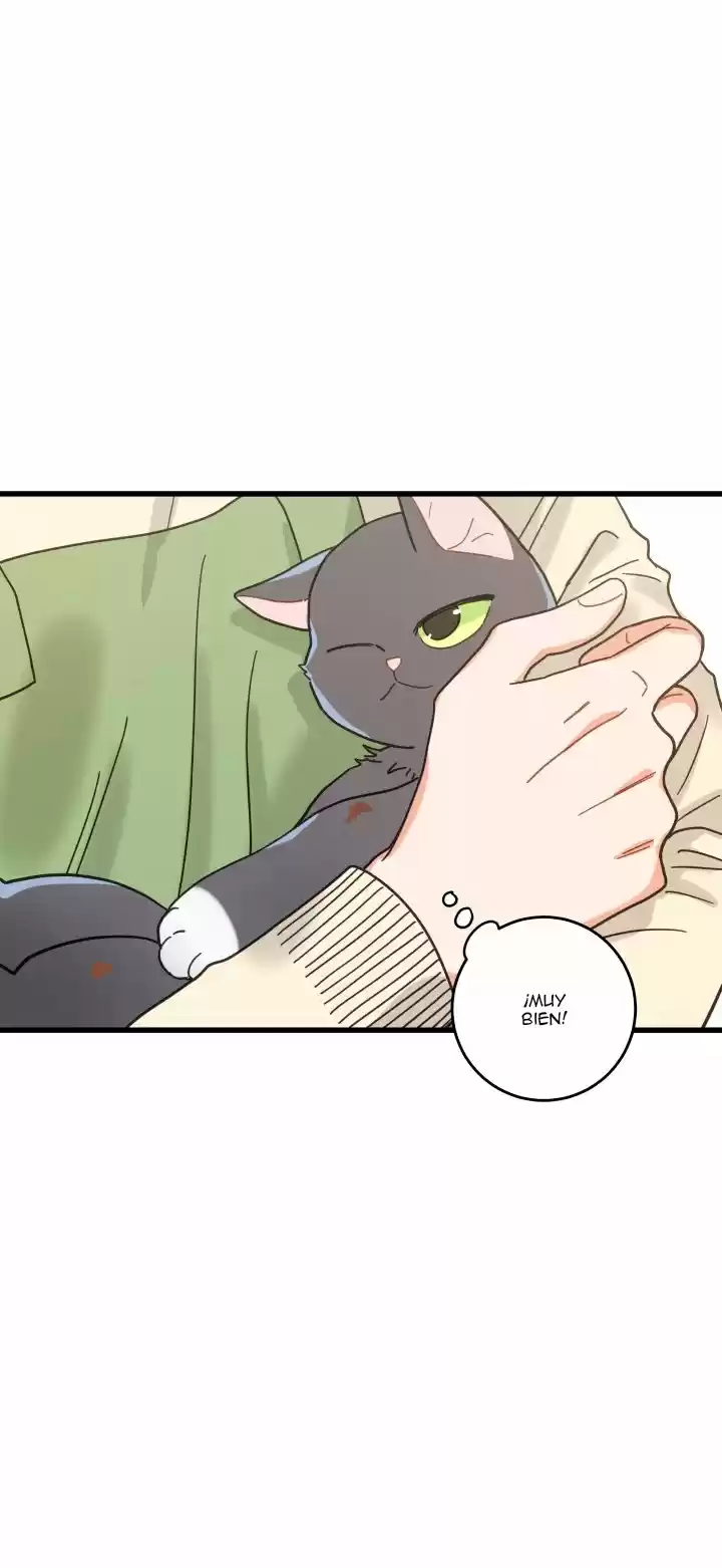 Mi único gato (2019) - Capítulo 21 - Página 25 - LectorTMOo