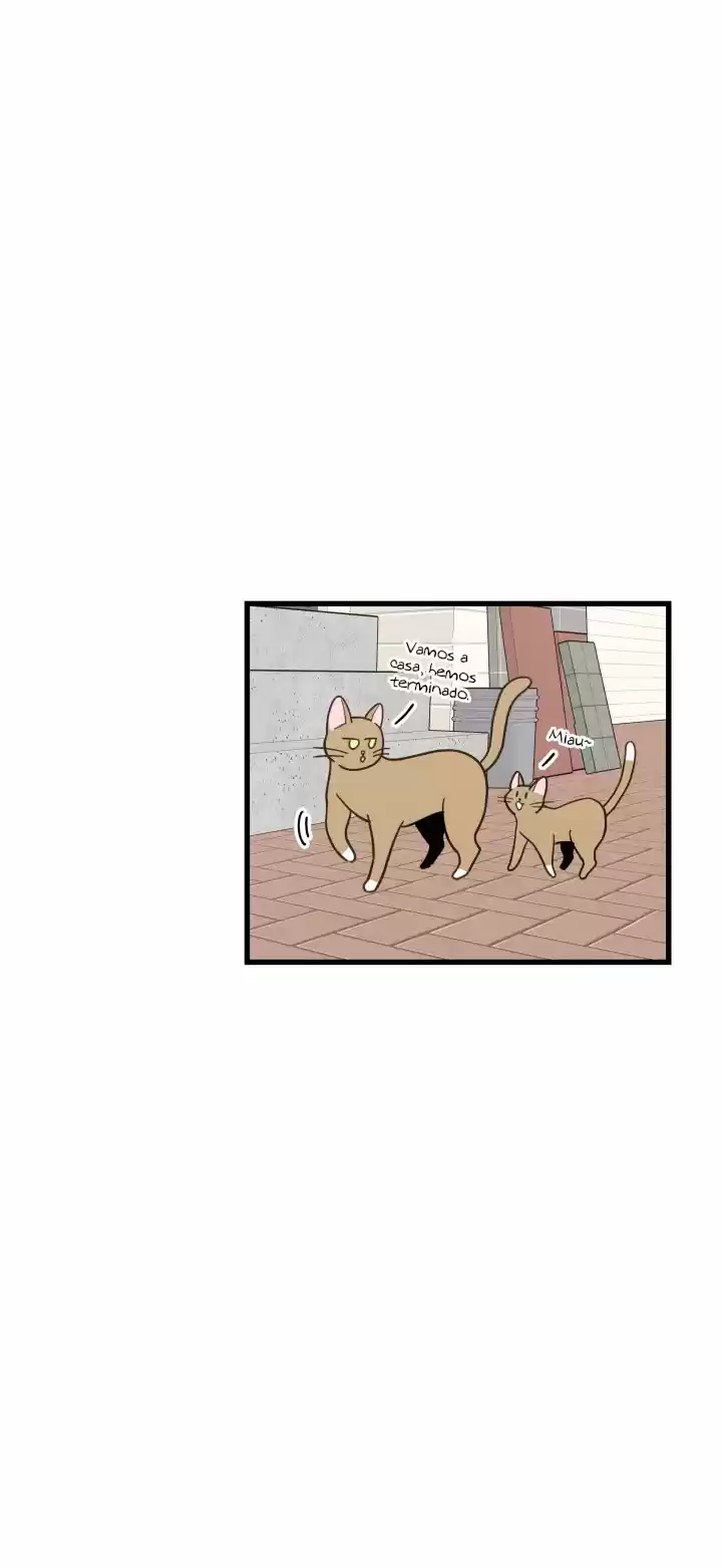 Mi único gato (2019) - Capítulo 21 - Página 27 - LectorTMOo