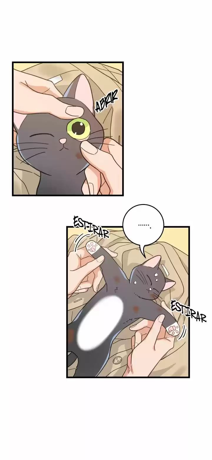 Mi único gato (2019) - Capítulo 21 - Página 33 - LectorTMOo