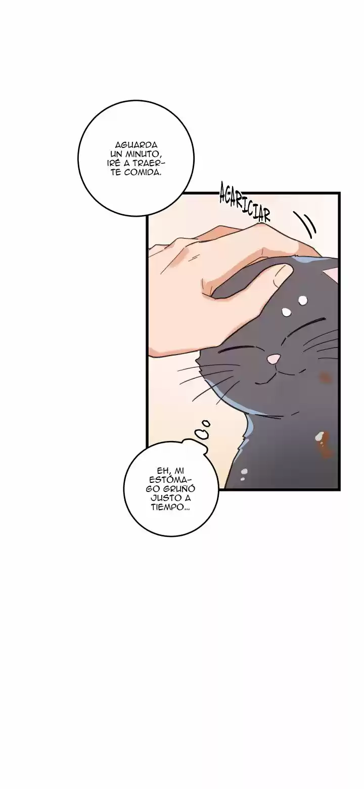 Mi único gato (2019) - Capítulo 21 - Página 39 - LectorTMOo