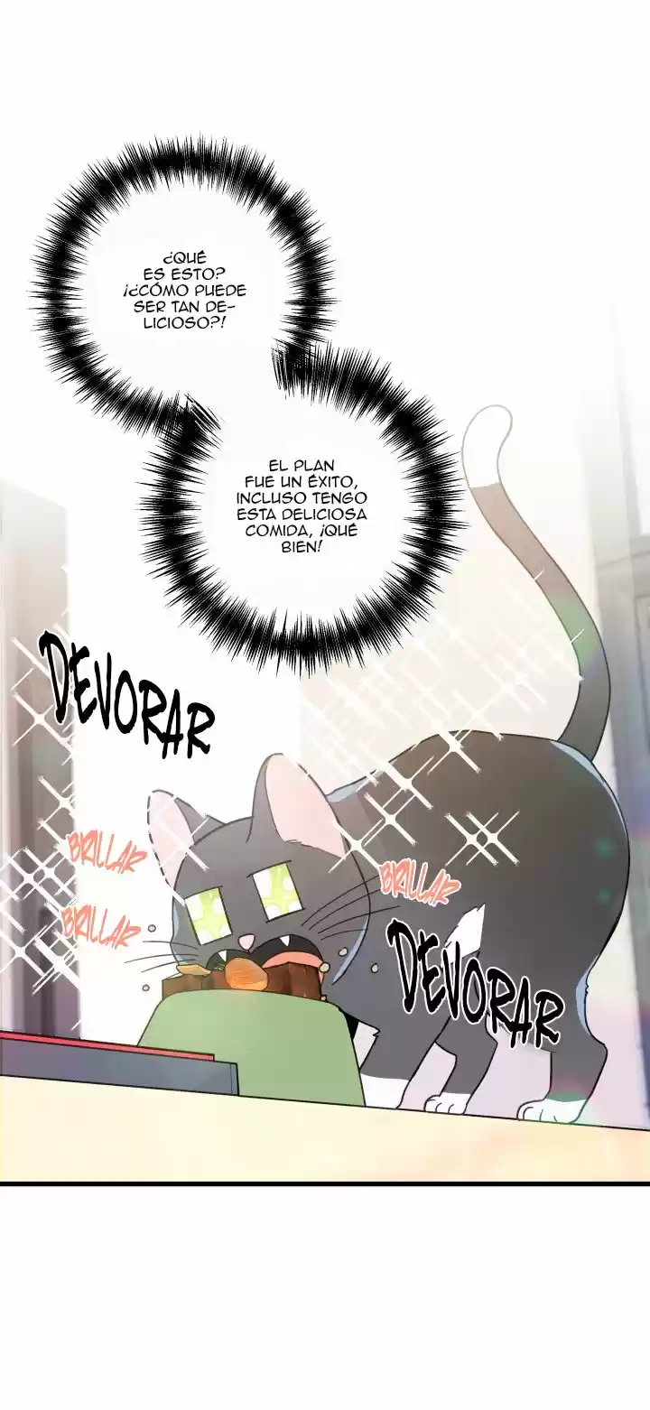 Mi único gato (2019) - Capítulo 21 - Página 42 - LectorTMOo