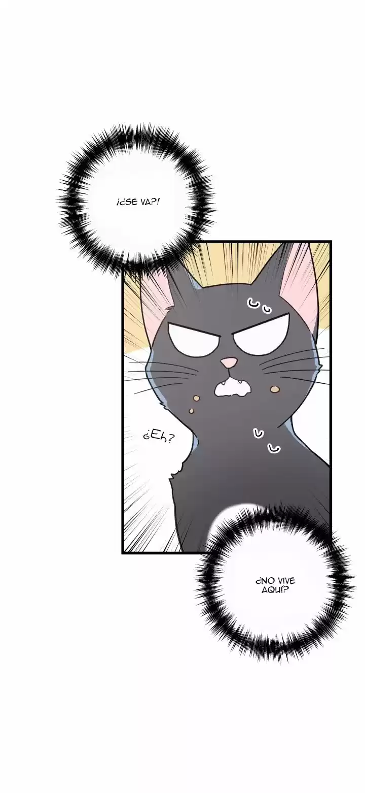 Mi único gato (2019) - Capítulo 21 - Página 46 - LectorTMOo