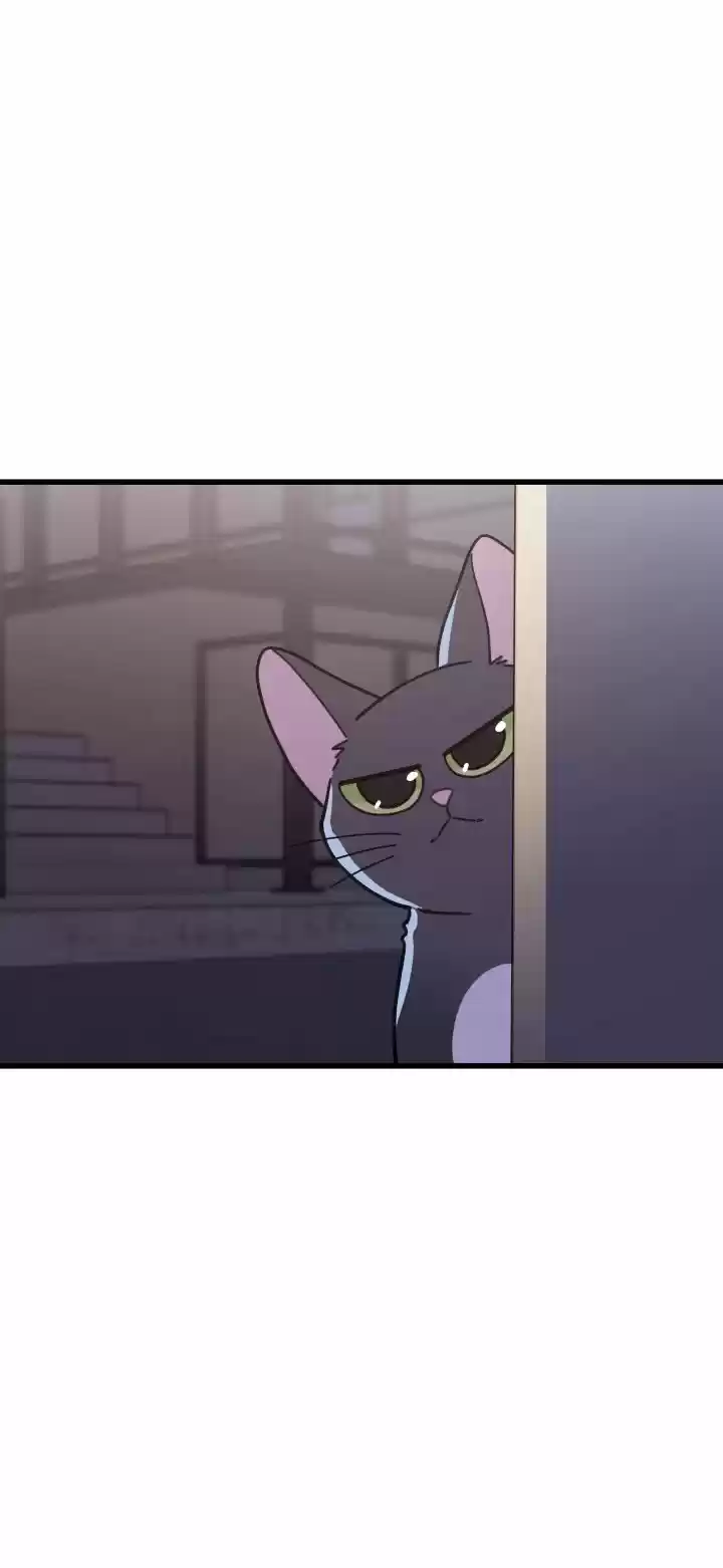 Mi único gato (2019) - Capítulo 21 - Página 55 - LectorTMOo