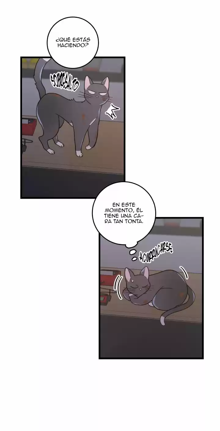 Mi único gato (2019) - Capítulo 22 - Página 41 - LectorTMOo