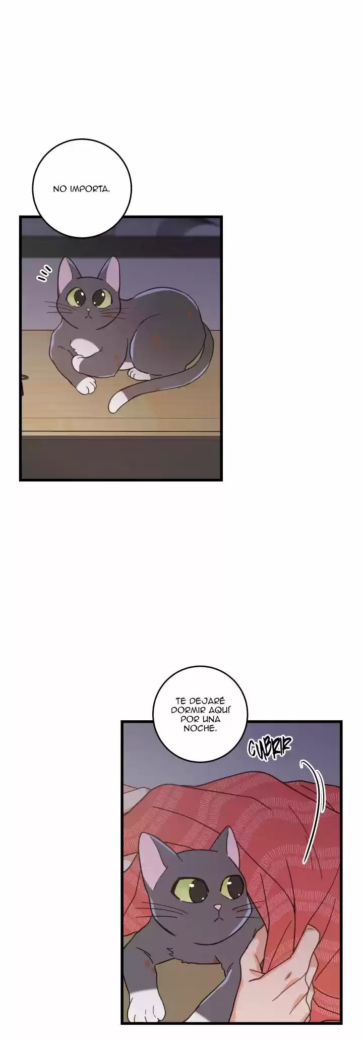 Mi único gato (2019) - Capítulo 22 - Página 44 - LectorTMOo