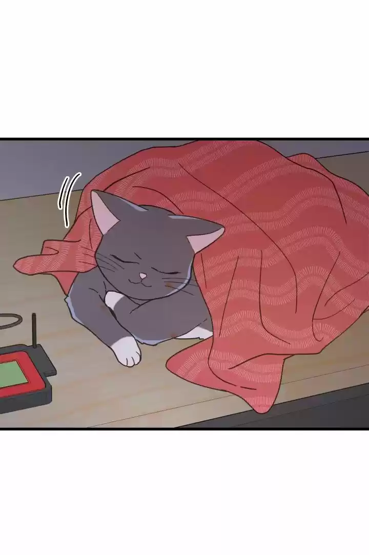 Mi único gato (2019) - Capítulo 22 - Página 47 - LectorTMOo