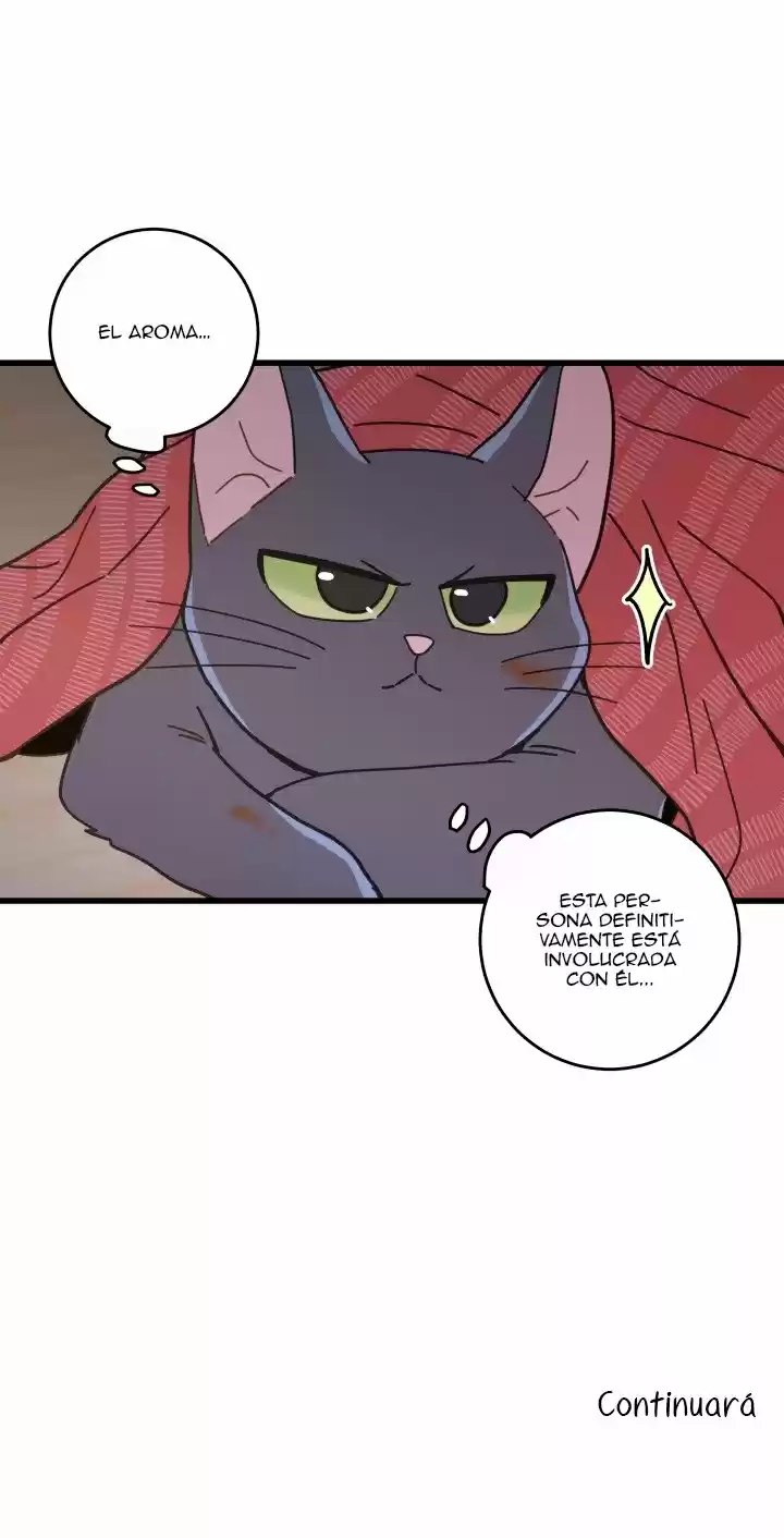 Mi único gato (2019) - Capítulo 22 - Página 48 - LectorTMOo