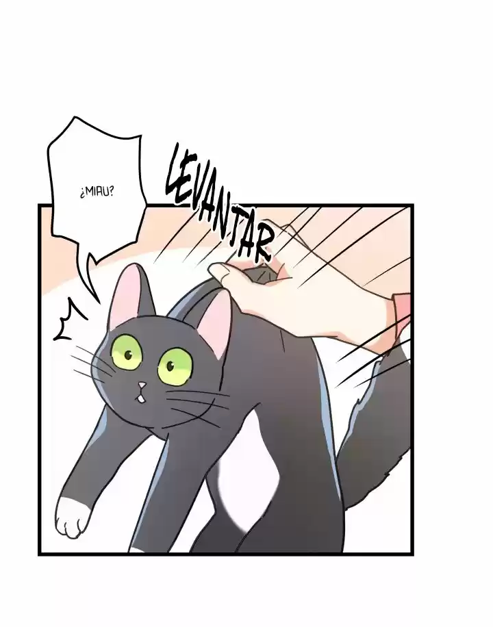 Mi único gato (2019) - Capítulo 23 - Página 39 - LectorTMOo