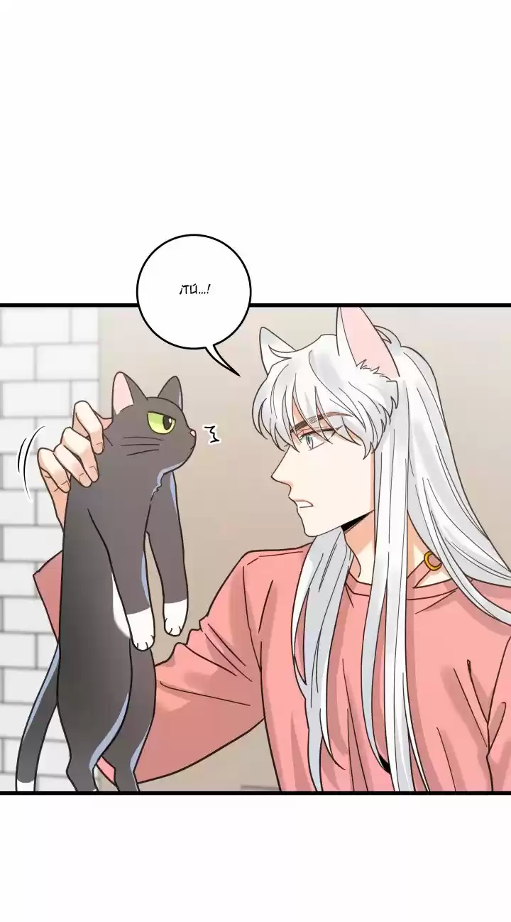 Mi único gato (2019) - Capítulo 23 - Página 42 - LectorTMOo