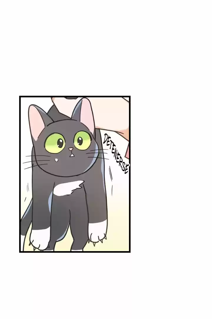 Mi único gato (2019) - Capítulo 23 - Página 43 - LectorTMOo