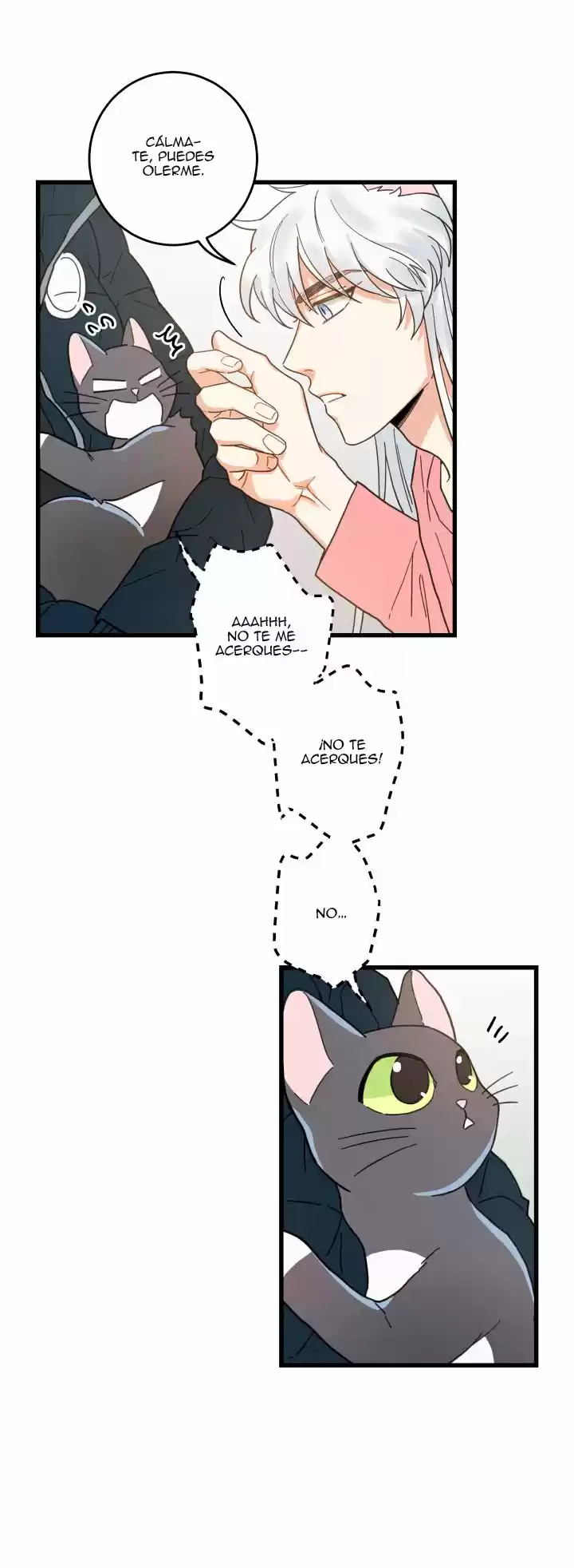 Mi único gato (2019) - Capítulo 23 - Página 47 - LectorTMOo