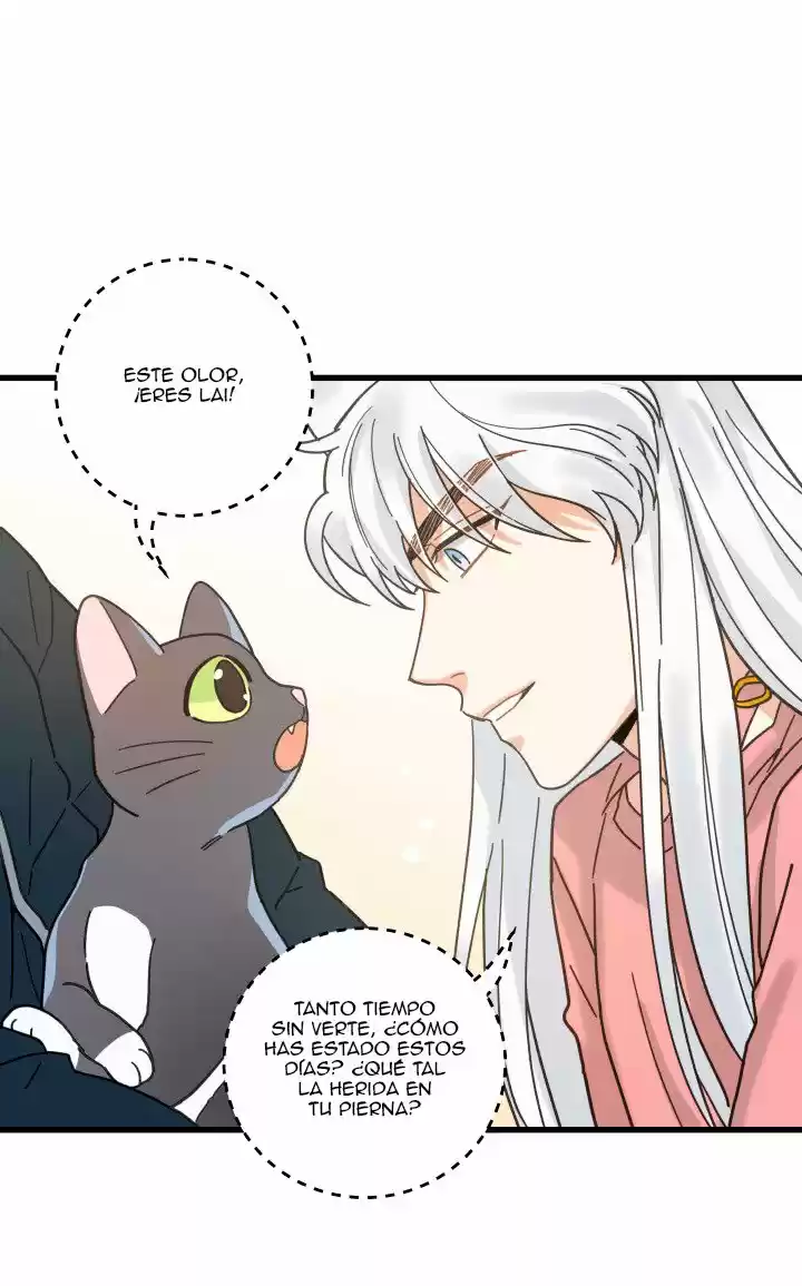 Mi único gato (2019) - Capítulo 23 - Página 48 - LectorTMOo