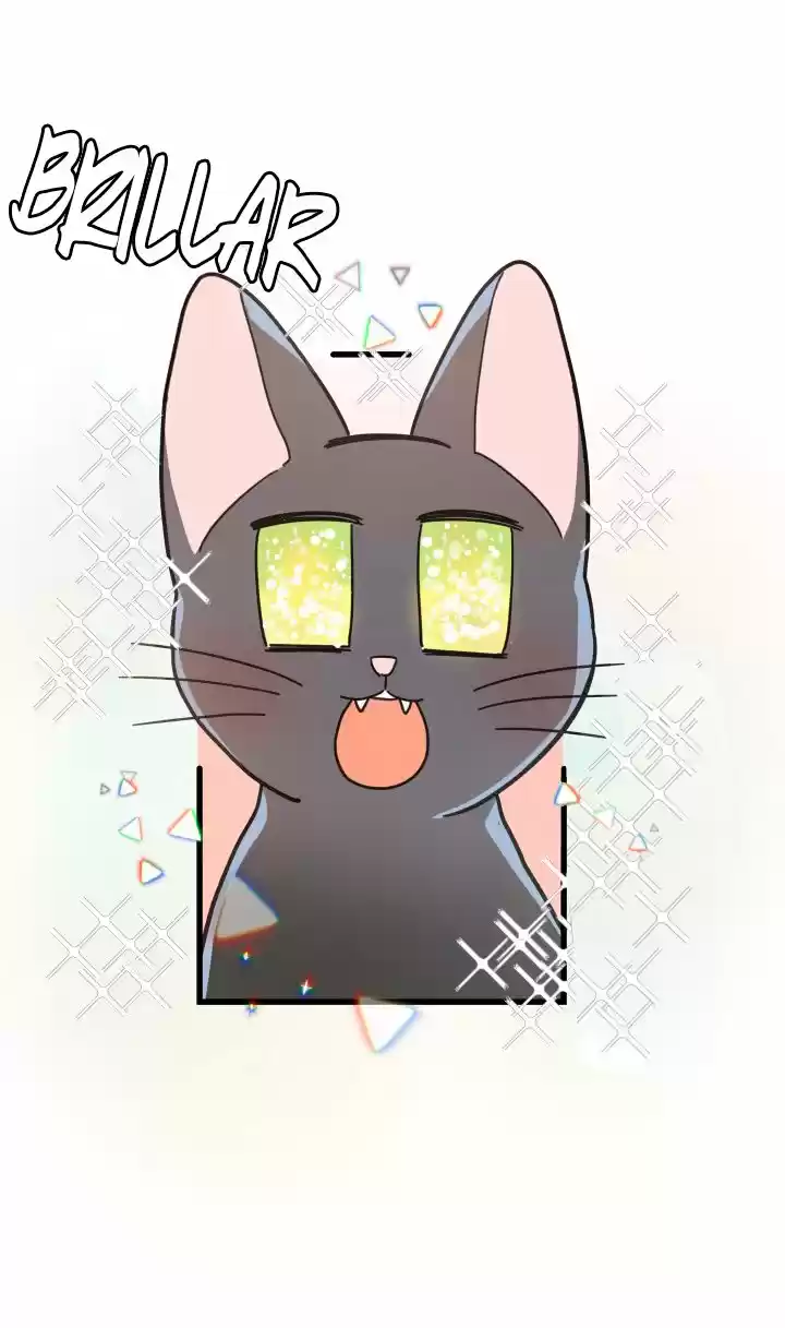 Mi único gato (2019) - Capítulo 23 - Página 49 - LectorTMOo