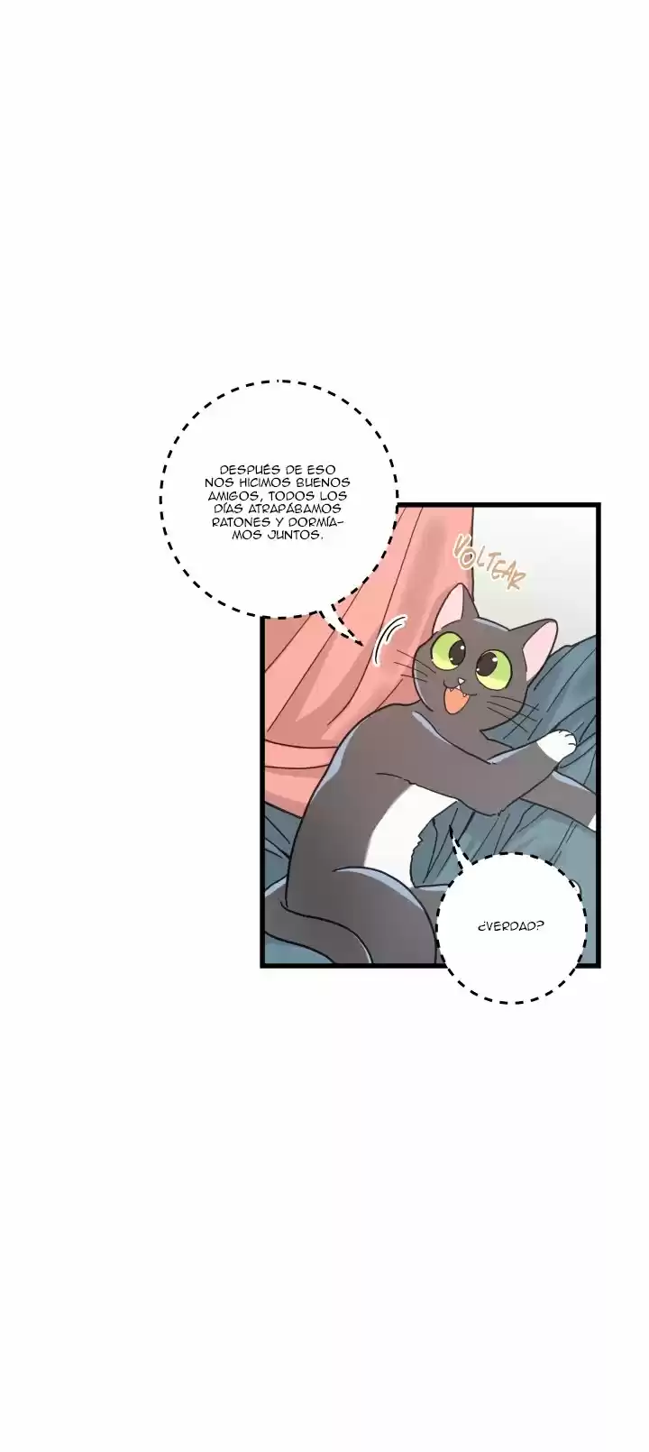 Mi único gato (2019) - Capítulo 24 - Página 9 - LectorTMOo