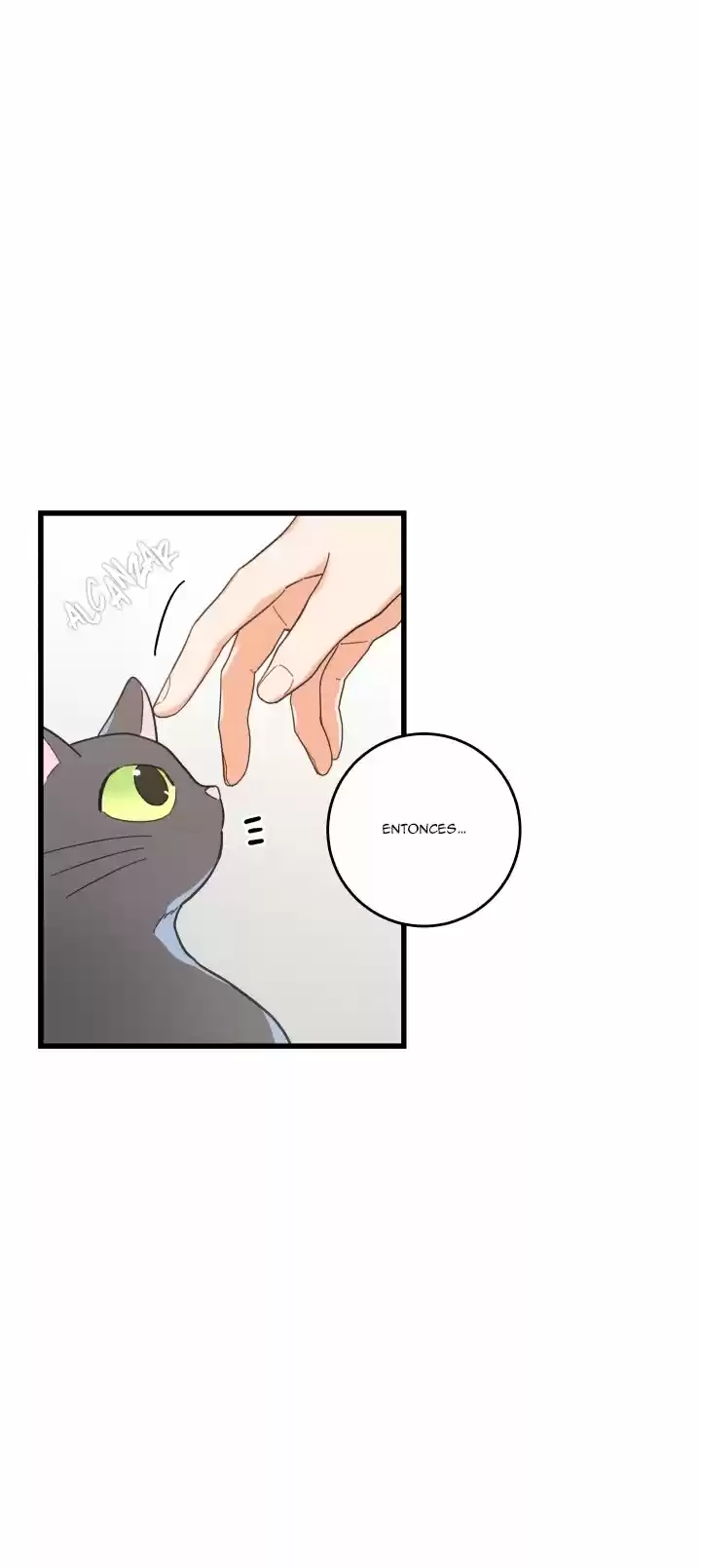 Mi único gato (2019) - Capítulo 24 - Página 12 - LectorTMOo