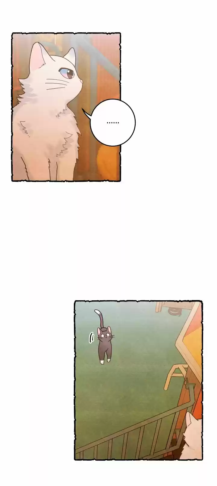 Mi único gato (2019) - Capítulo 25 - Página 7 - LectorTMOo
