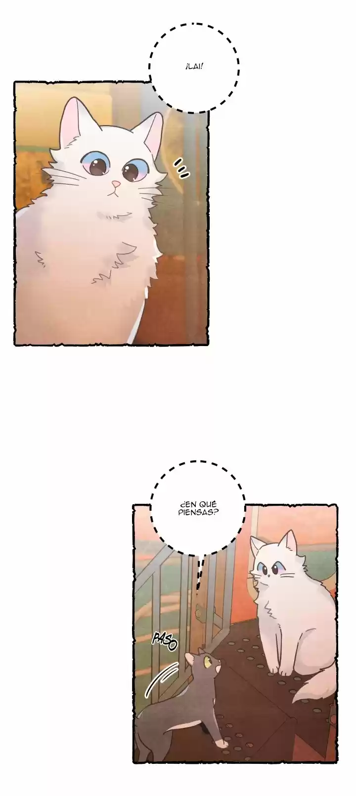Mi único gato (2019) - Capítulo 25 - Página 8 - LectorTMOo