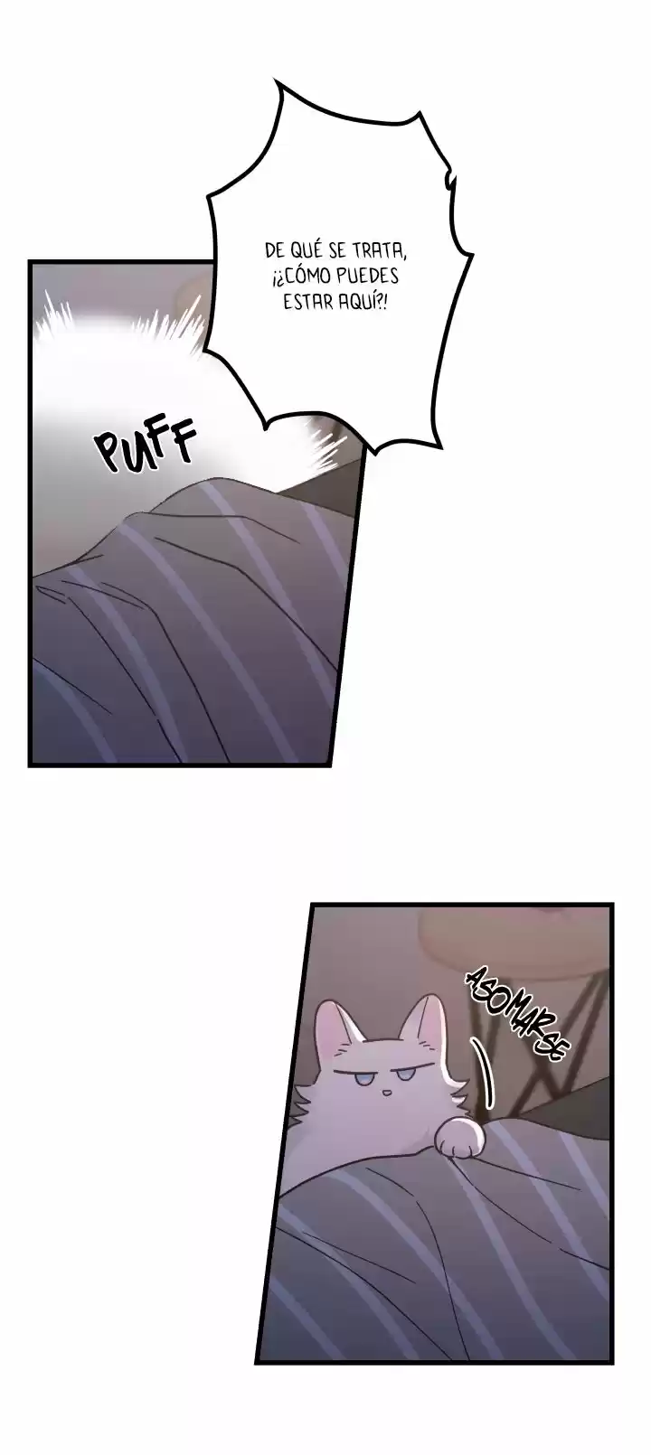 Mi único gato (2019) - Capítulo 25 - Página 17 - LectorTMOo