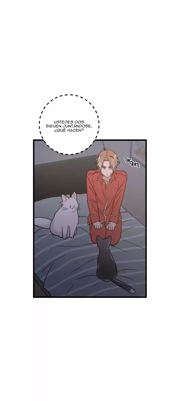 Mi único gato (2019) - Capítulo 25 - Página 20 - LectorTMOo