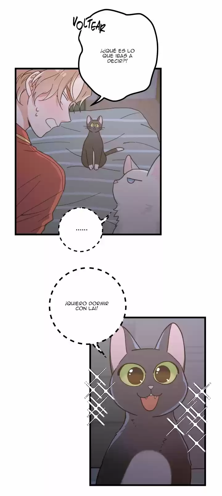 Mi único gato (2019) - Capítulo 25 - Página 22 - LectorTMOo