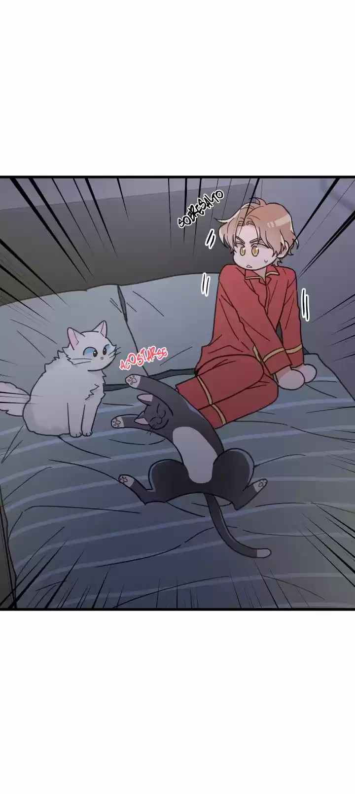 Mi único gato (2019) - Capítulo 25 - Página 23 - LectorTMOo
