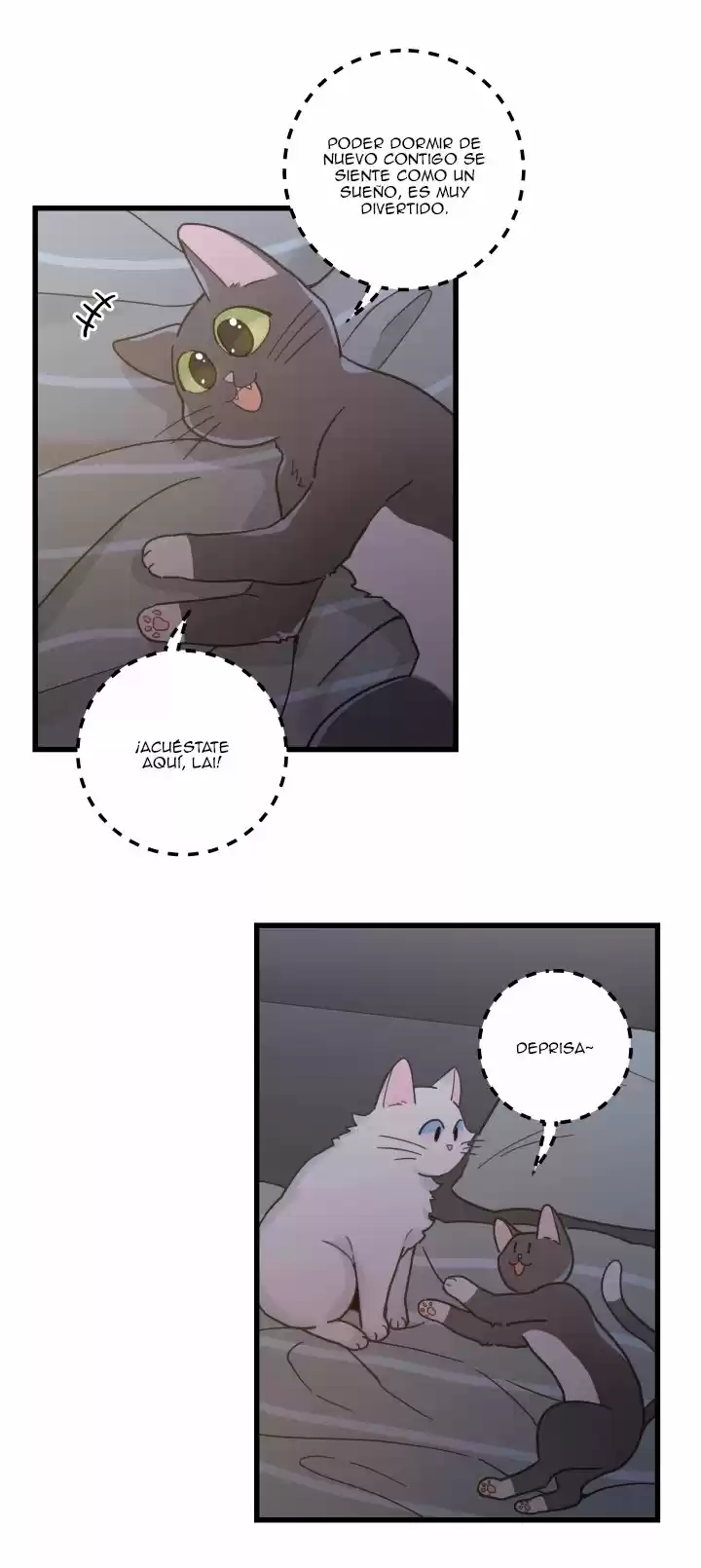 Mi único gato (2019) - Capítulo 25 - Página 26 - LectorTMOo