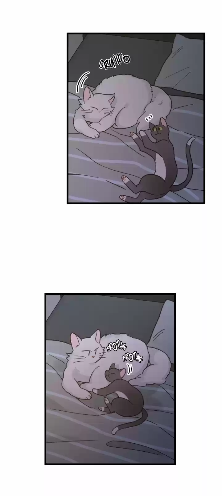 Mi único gato (2019) - Capítulo 25 - Página 28 - LectorTMOo