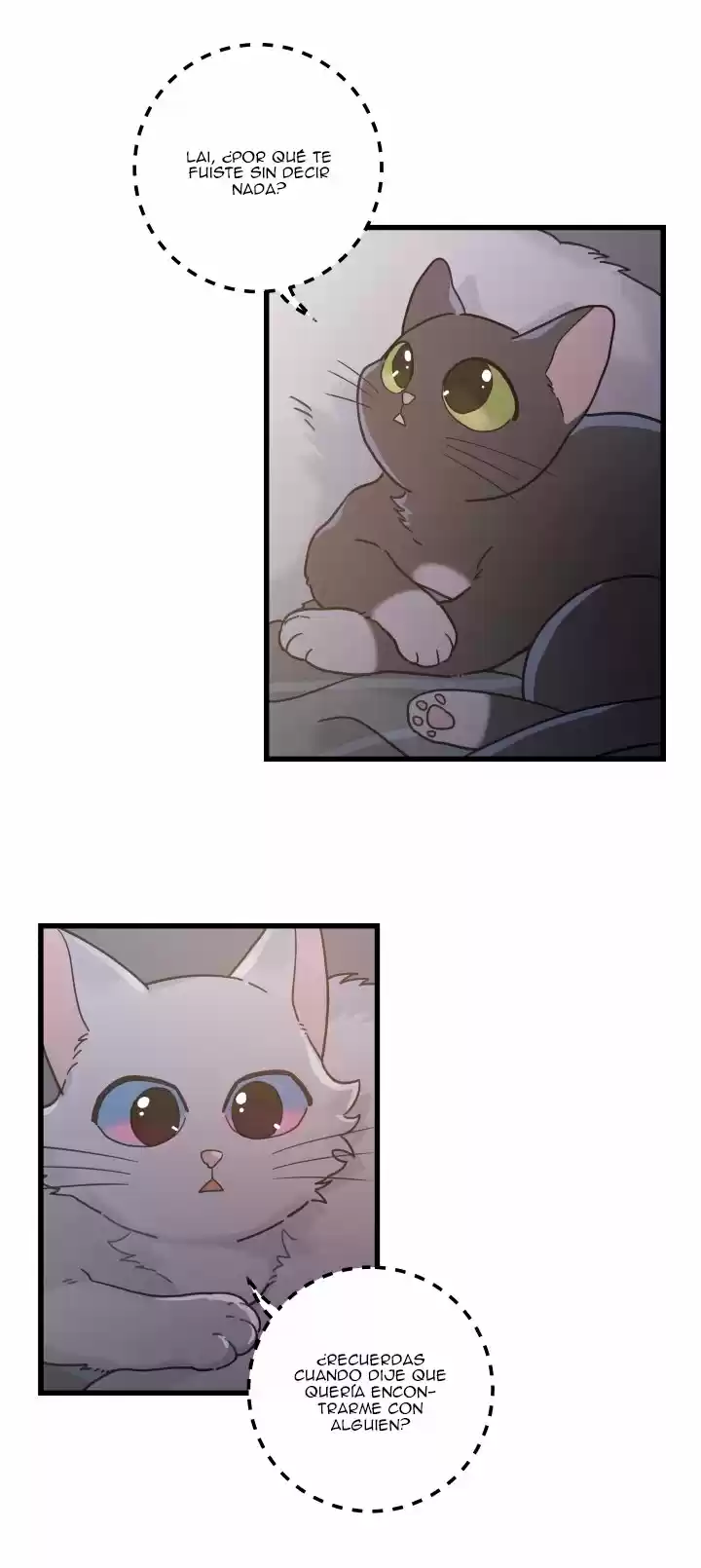 Mi único gato (2019) - Capítulo 25 - Página 29 - LectorTMOo
