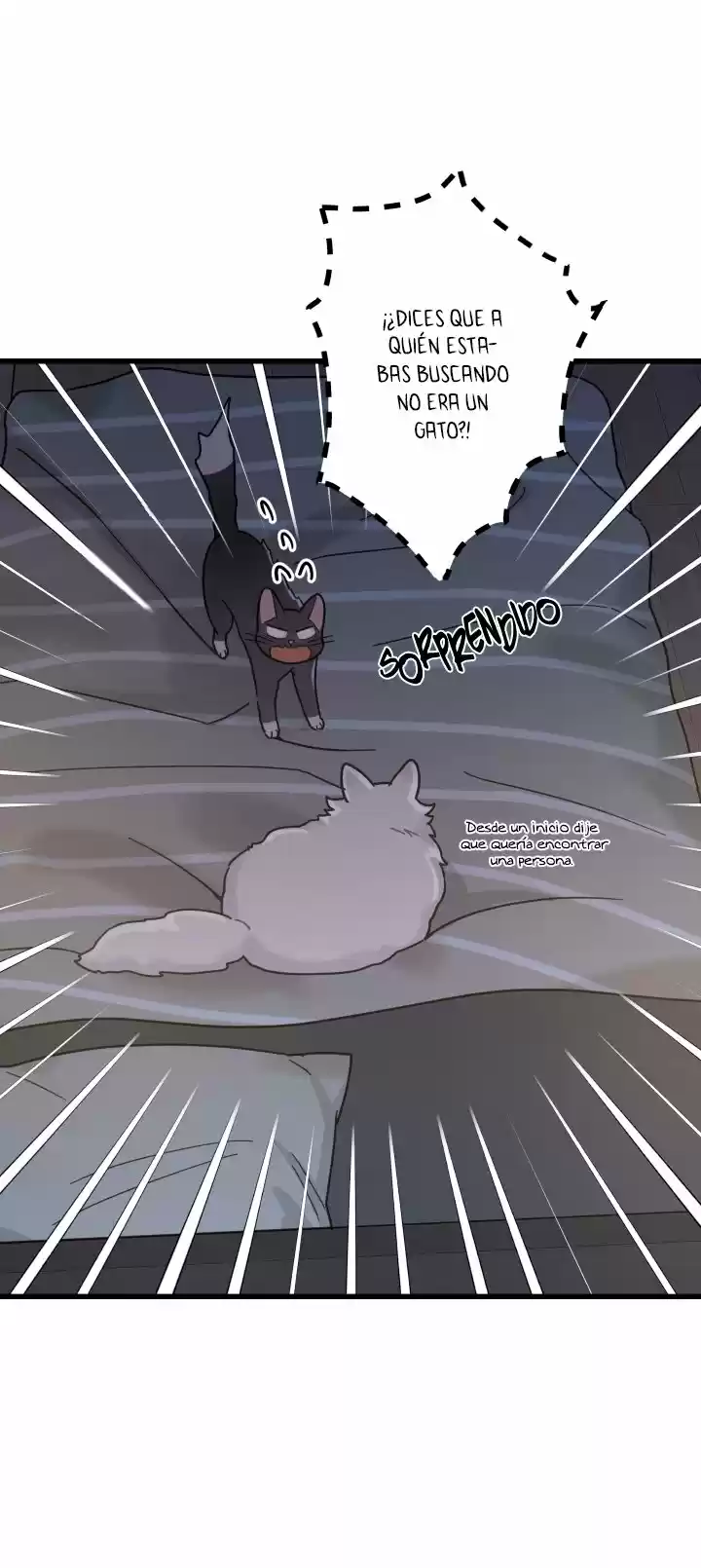 Mi único gato (2019) - Capítulo 25 - Página 33 - LectorTMOo