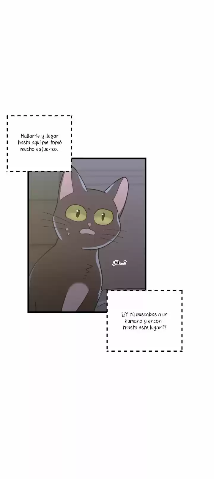 Mi único gato (2019) - Capítulo 25 - Página 34 - LectorTMOo