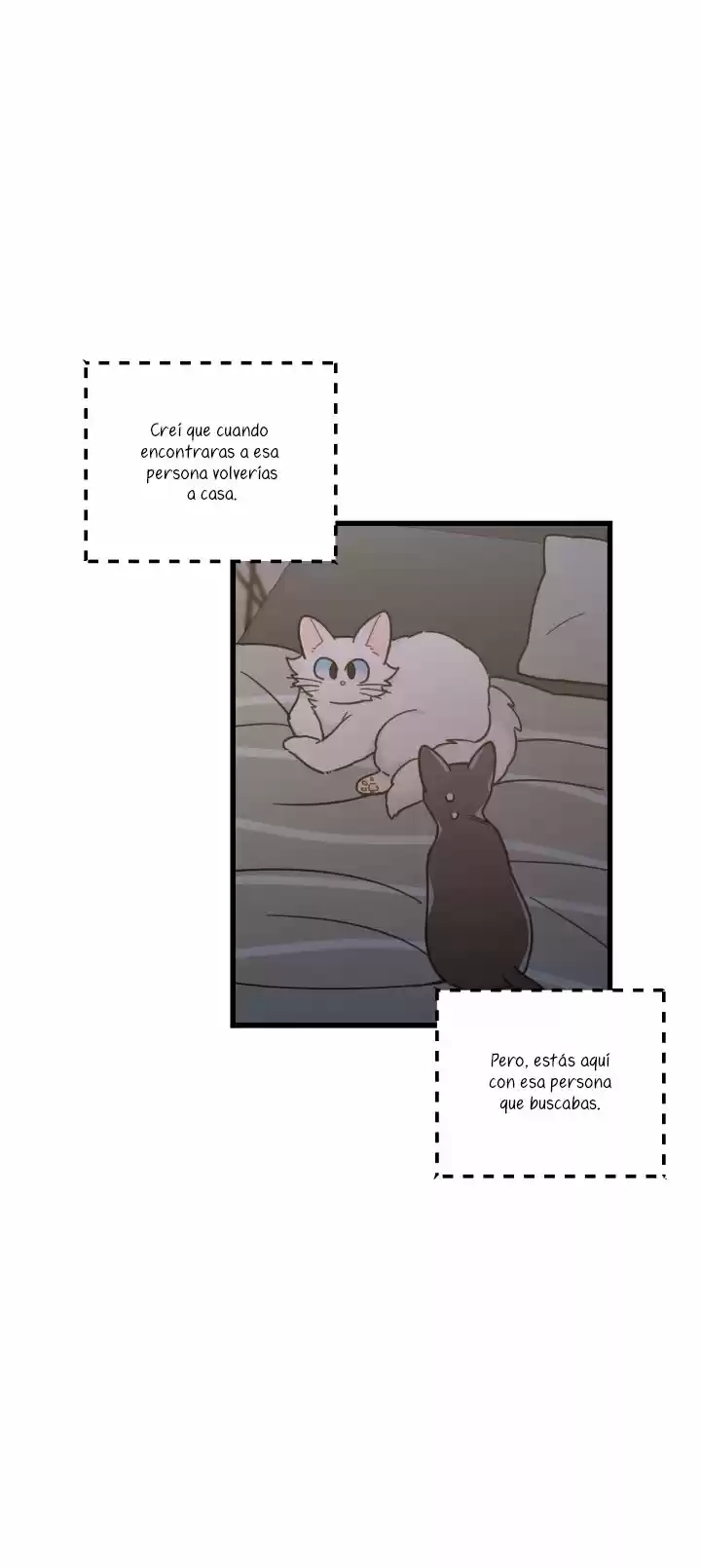Mi único gato (2019) - Capítulo 25 - Página 35 - LectorTMOo