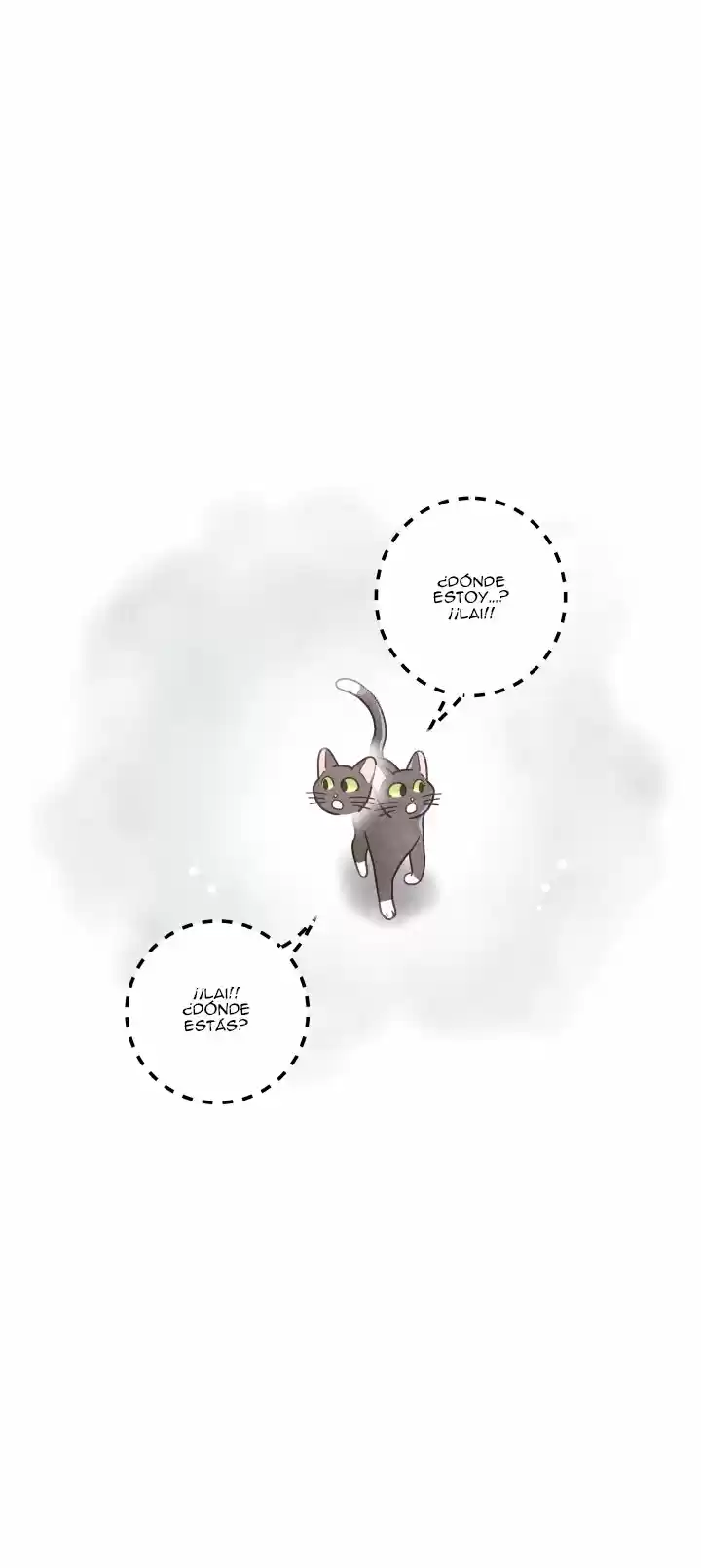 Mi único gato (2019) - Capítulo 25 - Página 41 - LectorTMOo