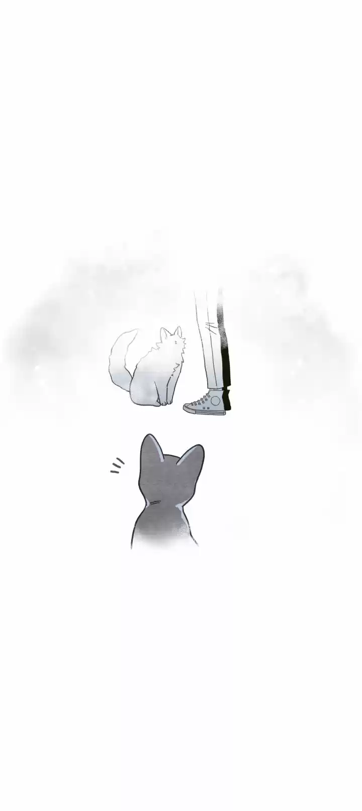 Mi único gato (2019) - Capítulo 25 - Página 42 - LectorTMOo