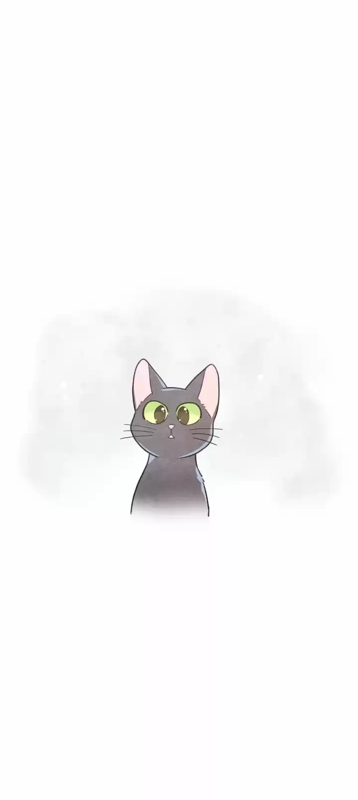 Mi único gato (2019) - Capítulo 25 - Página 44 - LectorTMOo