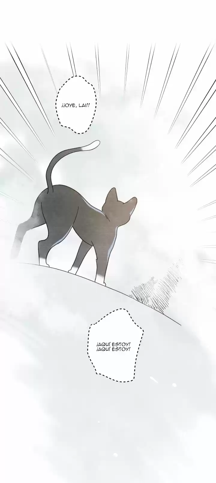 Mi único gato (2019) - Capítulo 25 - Página 46 - LectorTMOo