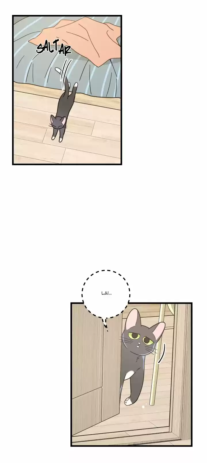 Mi único gato (2019) - Capítulo 25 - Página 50 - LectorTMOo