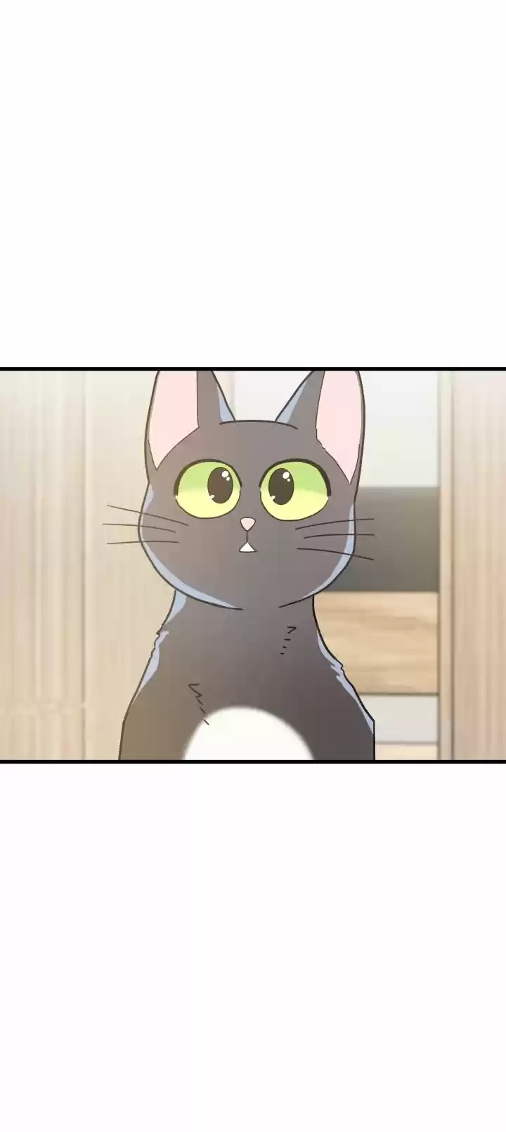 Mi único gato (2019) - Capítulo 25 - Página 55 - LectorTMOo