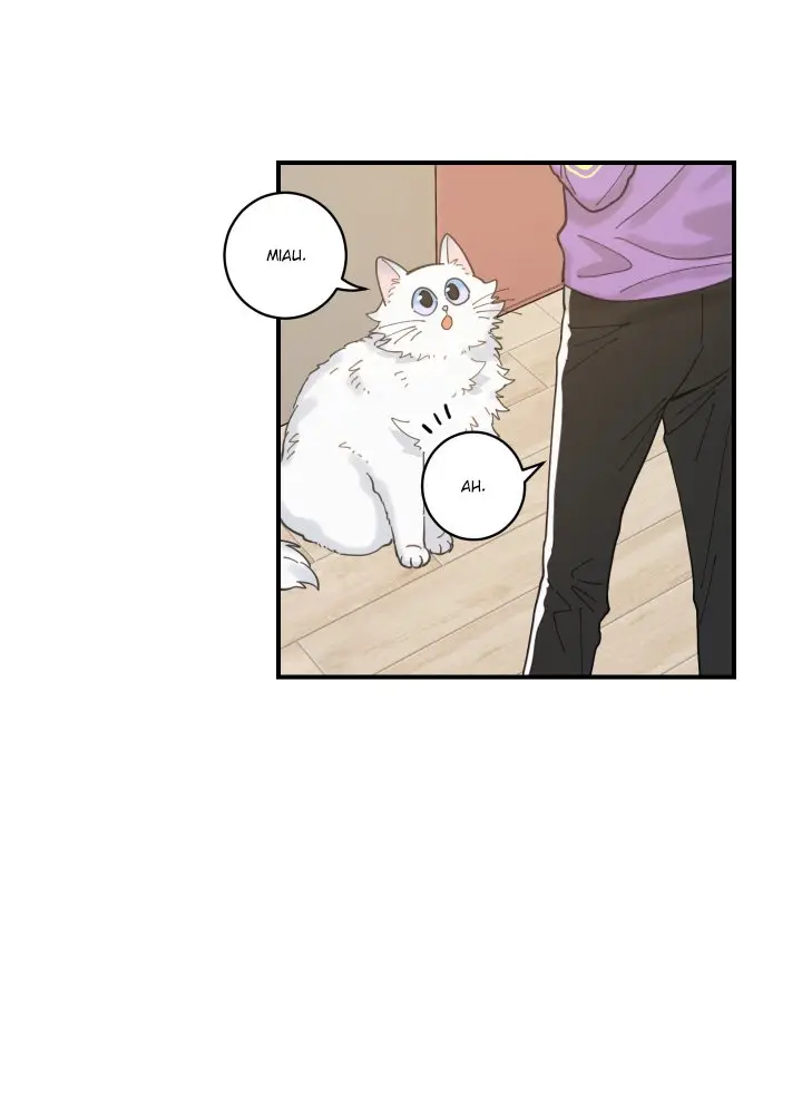 Mi único gato (2019) - Capítulo 3 - Página 63 - LectorTMOo