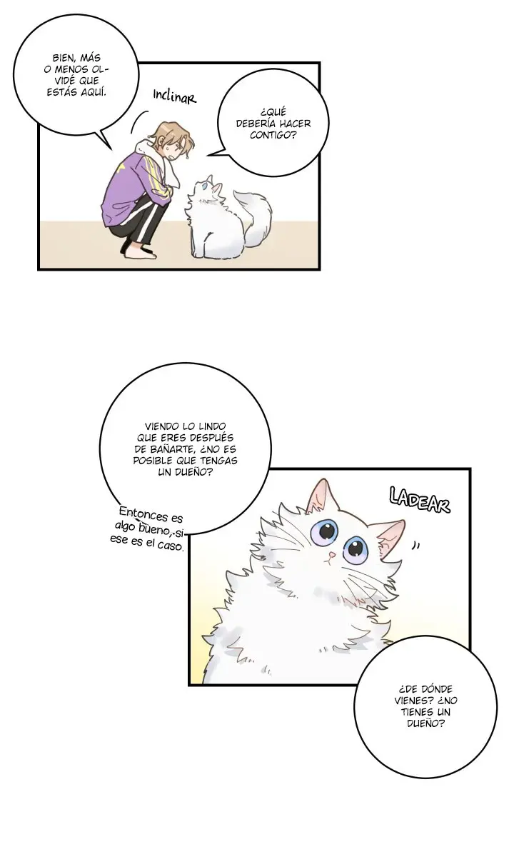 Mi único gato (2019) - Capítulo 3 - Página 64 - LectorTMOo