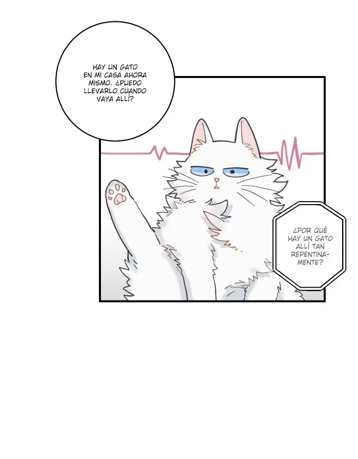 Mi único gato (2019) - Capítulo 3 - Página 70 - LectorTMOo