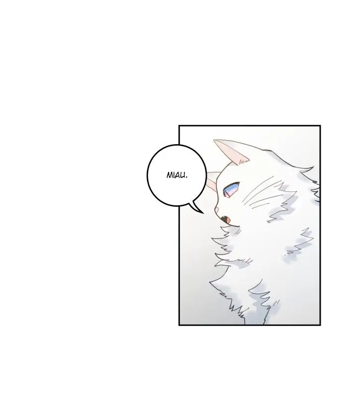 Mi único gato (2019) - Capítulo 5 - Página 82 - LectorTMOo