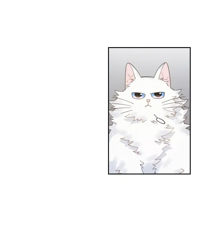 Mi único gato (2019) - Capítulo 5 - Página 85 - LectorTMOo