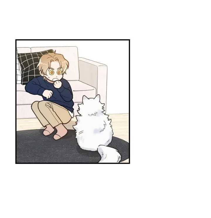 Mi único gato (2019) - Capítulo 6 - Página 36 - LectorTMOo