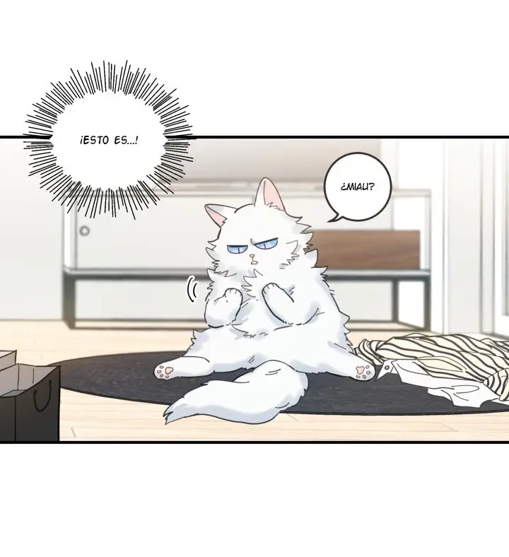 Mi único gato (2019) - Capítulo 6 - Página 38 - LectorTMOo