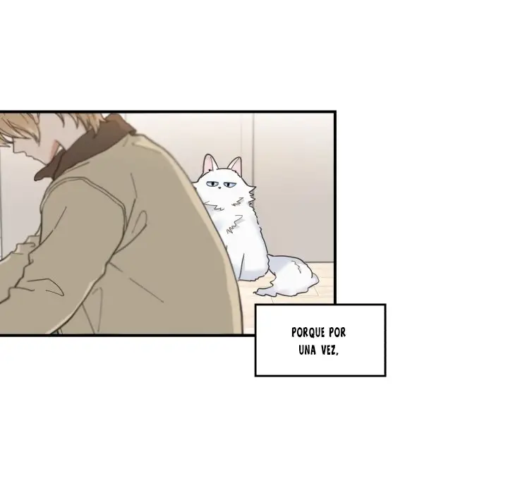 Mi único gato (2019) - Capítulo 6 - Página 57 - LectorTMOo