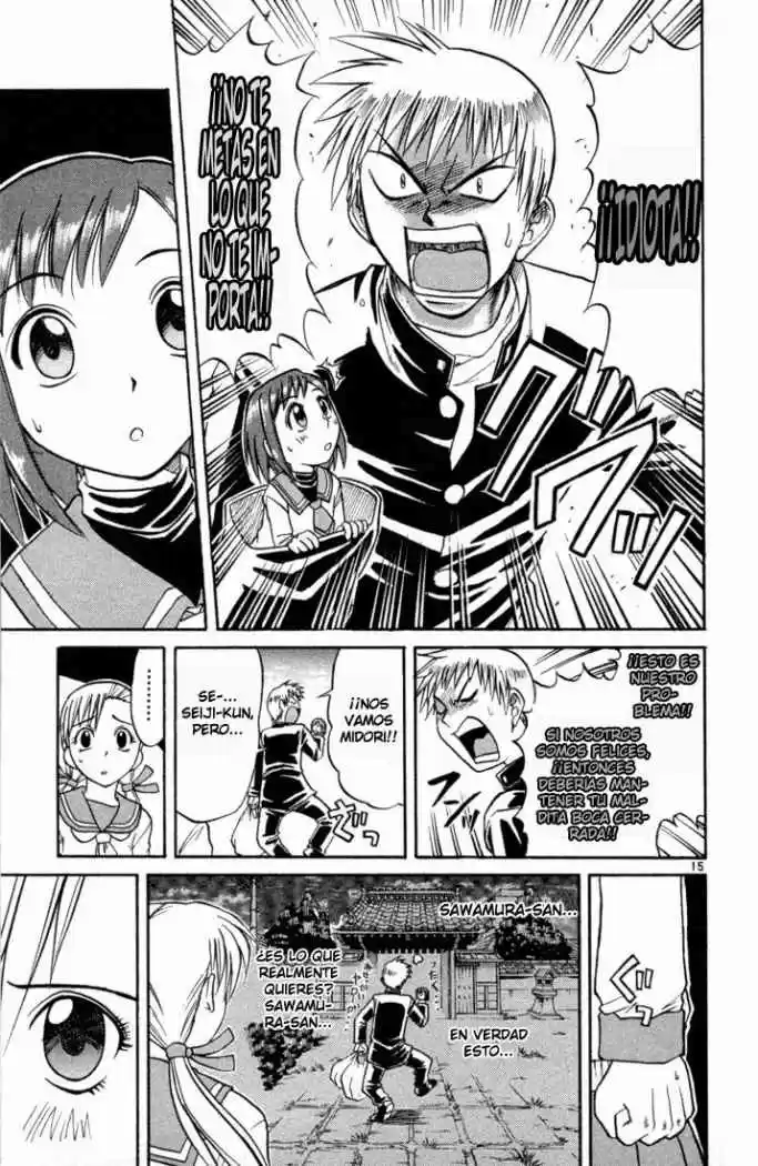 Midori no Hibi (2002) - Capítulo 79 - Página 15 - LectorTMOo