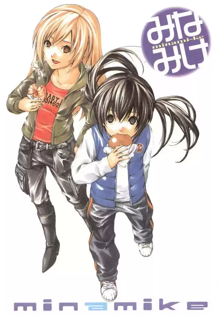 Minami-ke (2004) - Capítulo 40 - Página 4 - LectorTMOo