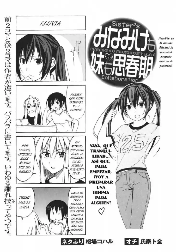 Minami-ke (2004) - Capítulo 60 - Página 36 - LectorTMOo